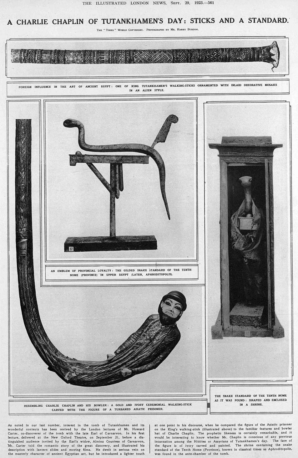 tut walking stick etc